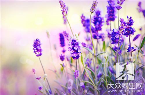 鲜花也可养生 桃花活血调经